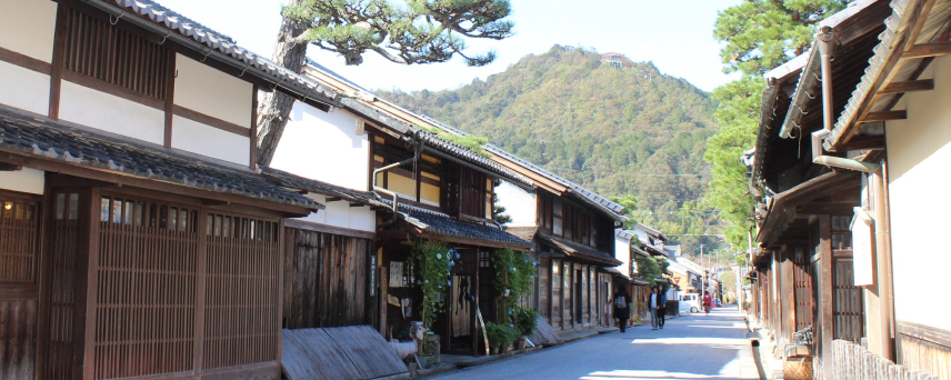 八幡山のふもとに続く近江八幡の古い町並み